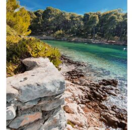 527057708_10237093619658073_753743959058907380_n