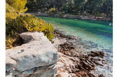 527057708_10237093619658073_753743959058907380_n