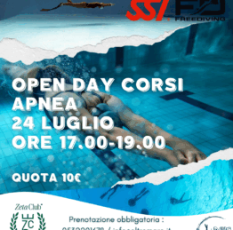 Post di Instagram Agenzia viaggi Promozionale Verde acqua