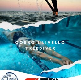 1 livello