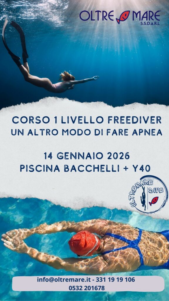 APNEA : CORSO 1 LIVELLO FREEDIVER