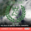 meteo (2)