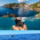 ustica ... rivo _20260828_183822_0000